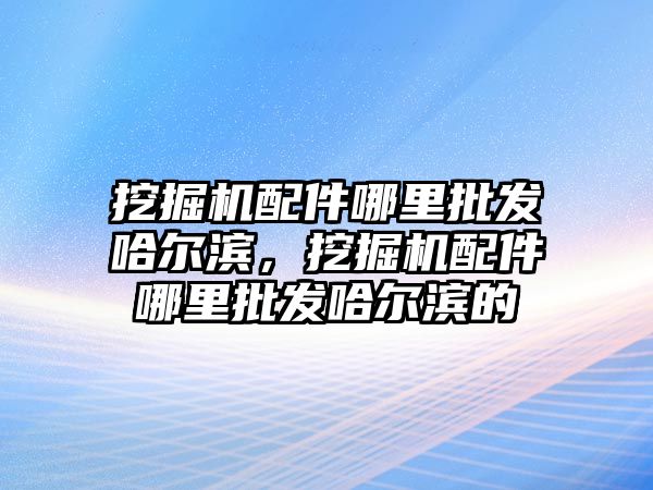 挖掘機配件哪里批發(fā)哈爾濱，挖掘機配件哪里批發(fā)哈爾濱的