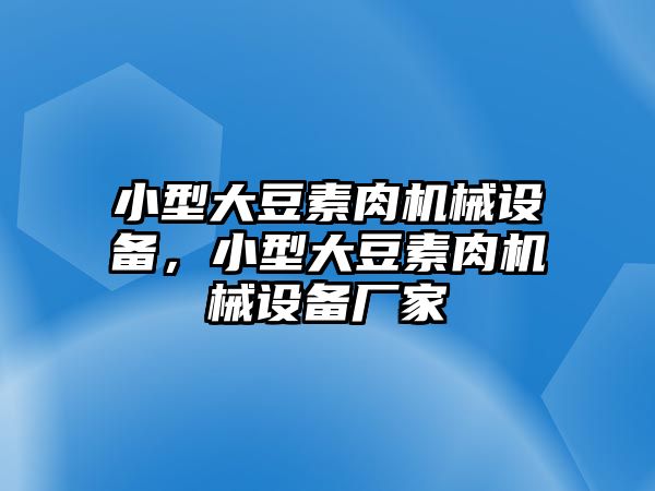 小型大豆素肉機(jī)械設(shè)備，小型大豆素肉機(jī)械設(shè)備廠家