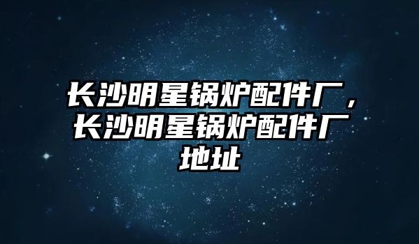 長(zhǎng)沙明星鍋爐配件廠，長(zhǎng)沙明星鍋爐配件廠地址