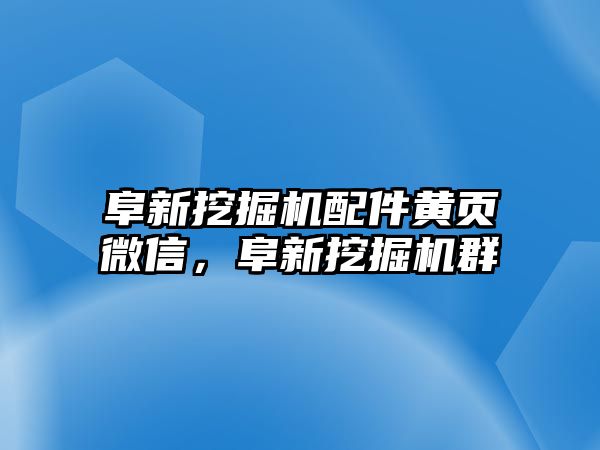 阜新挖掘機配件黃頁微信，阜新挖掘機群