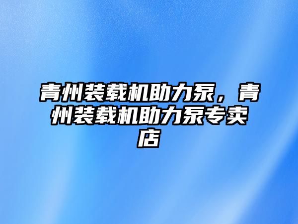 青州裝載機助力泵，青州裝載機助力泵專賣店