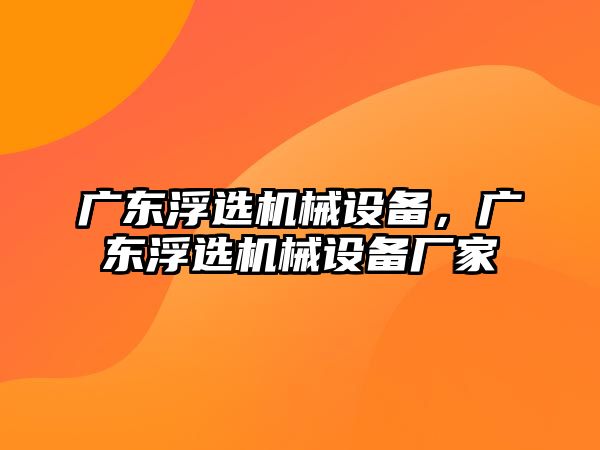 廣東浮選機(jī)械設(shè)備，廣東浮選機(jī)械設(shè)備廠家