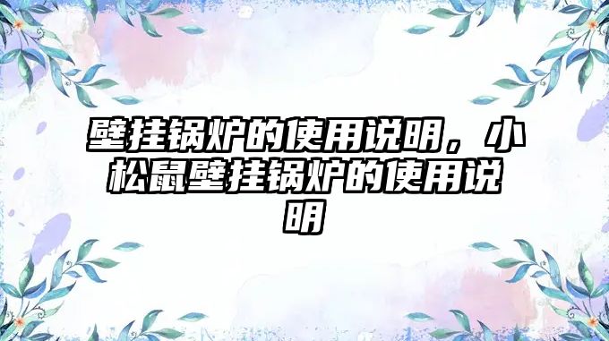 壁掛鍋爐的使用說明，小松鼠壁掛鍋爐的使用說明