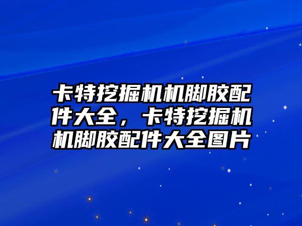 卡特挖掘機機腳膠配件大全，卡特挖掘機機腳膠配件大全圖片