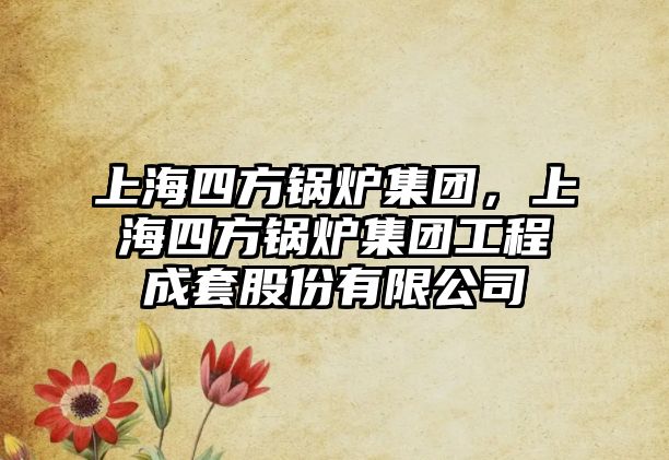 上海四方鍋爐集團(tuán)，上海四方鍋爐集團(tuán)工程成套股份有限公司