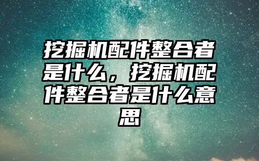 挖掘機配件整合者是什么，挖掘機配件整合者是什么意思