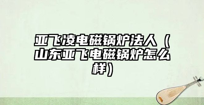 亞飛凌電磁鍋爐法人（山東亞飛電磁鍋爐怎么樣）