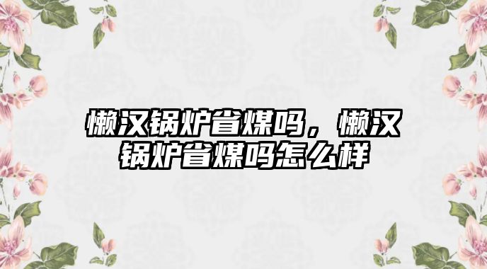 懶漢鍋爐省煤嗎，懶漢鍋爐省煤嗎怎么樣