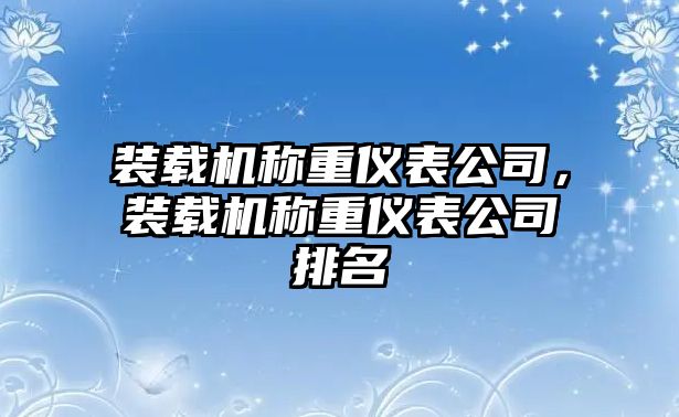 裝載機(jī)稱(chēng)重儀表公司，裝載機(jī)稱(chēng)重儀表公司排名