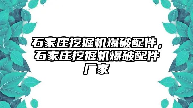 石家莊挖掘機爆破配件，石家莊挖掘機爆破配件廠家