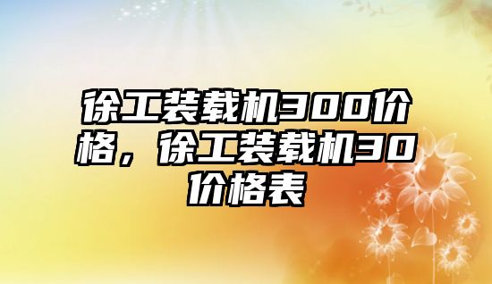 徐工裝載機300價格，徐工裝載機30價格表