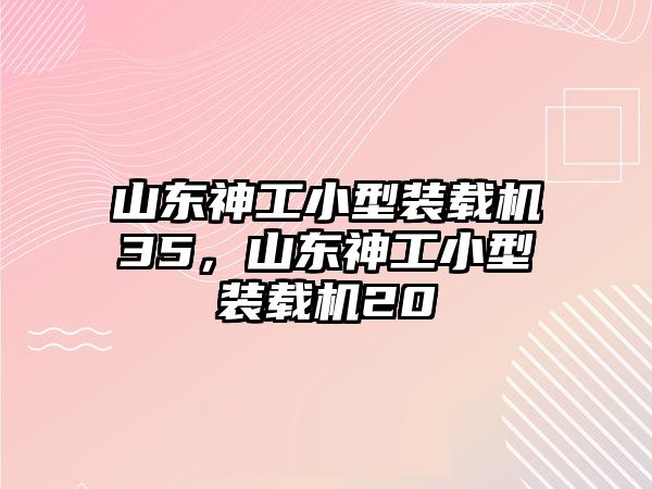 山東神工小型裝載機(jī)35，山東神工小型裝載機(jī)20