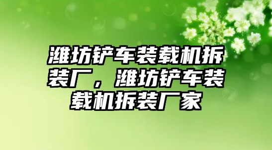 濰坊鏟車裝載機(jī)拆裝廠，濰坊鏟車裝載機(jī)拆裝廠家