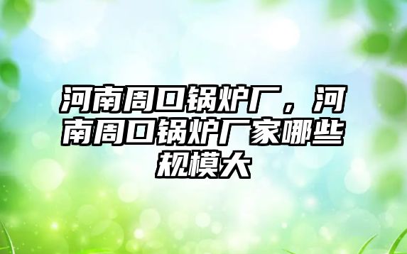 河南周口鍋爐廠，河南周口鍋爐廠家哪些規模大