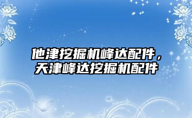 他津挖掘機峰達配件，天津峰達挖掘機配件