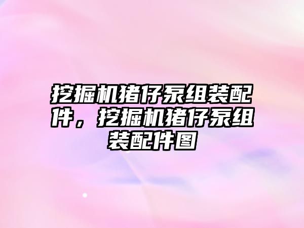 挖掘機豬仔泵組裝配件，挖掘機豬仔泵組裝配件圖