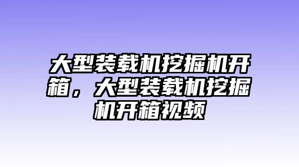 大型裝載機挖掘機開箱，大型裝載機挖掘機開箱視頻