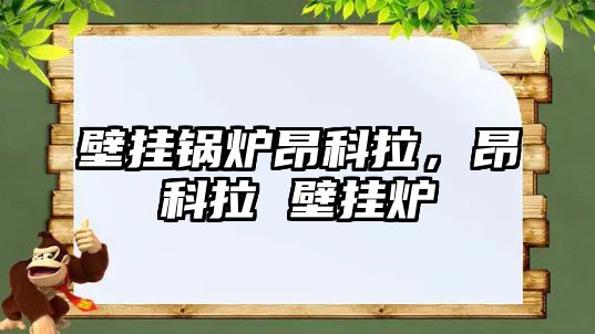 壁掛鍋爐昂科拉，昂科拉 壁掛爐