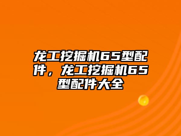 龍工挖掘機65型配件，龍工挖掘機65型配件大全