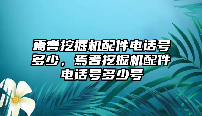 焉耆挖掘機配件電話號多少，焉耆挖掘機配件電話號多少號