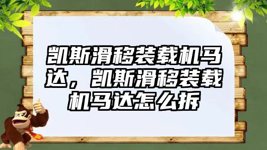 凱斯滑移裝載機馬達，凱斯滑移裝載機馬達怎么拆