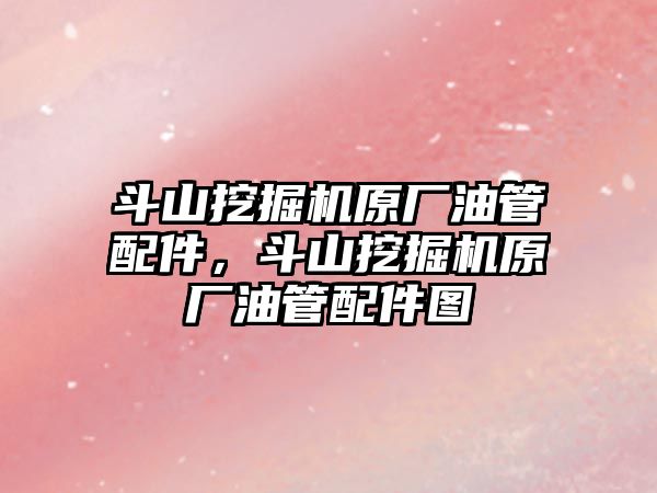 斗山挖掘機原廠油管配件，斗山挖掘機原廠油管配件圖