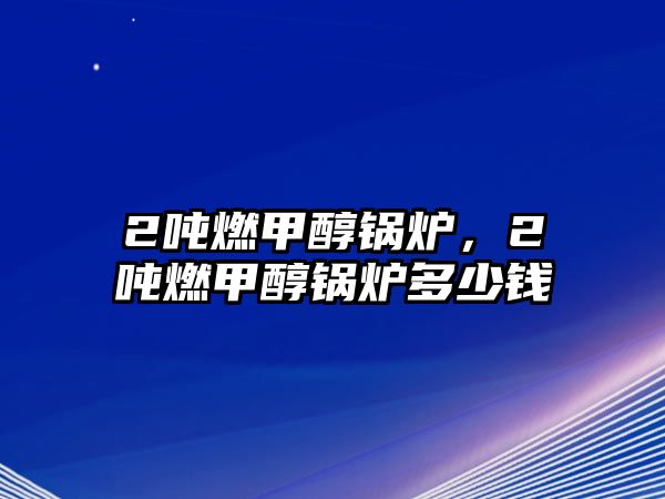 2噸燃甲醇鍋爐，2噸燃甲醇鍋爐多少錢