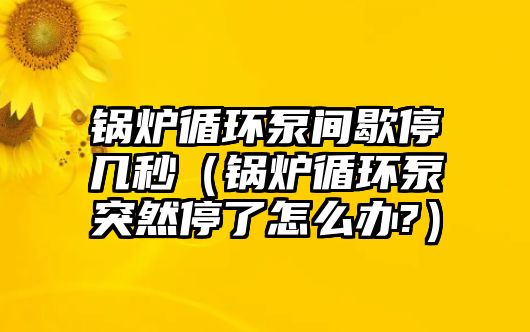 鍋爐循環泵間歇停幾秒（鍋爐循環泵突然停了怎么辦?）