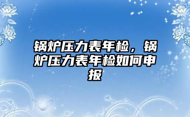 鍋爐壓力表年檢，鍋爐壓力表年檢如何申報