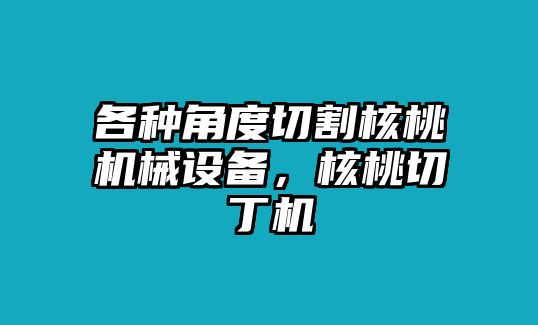 各種角度切割核桃機械設備，核桃切丁機