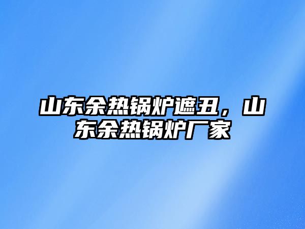 山東余熱鍋爐遮丑，山東余熱鍋爐廠家