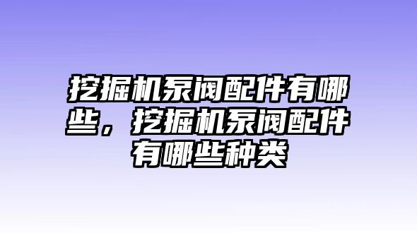 挖掘機(jī)泵閥配件有哪些，挖掘機(jī)泵閥配件有哪些種類