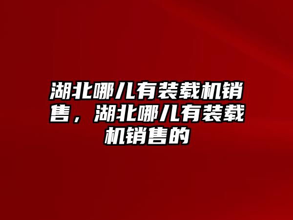 湖北哪兒有裝載機銷售，湖北哪兒有裝載機銷售的