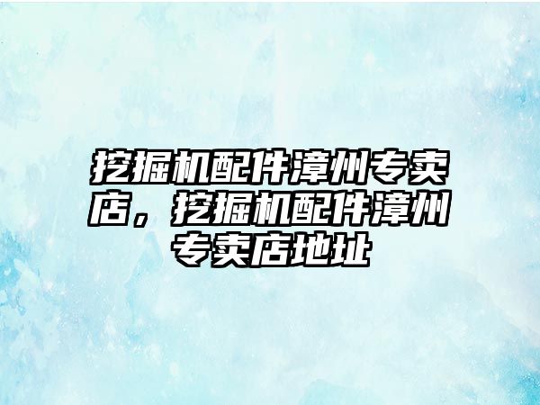 挖掘機配件漳州專賣店，挖掘機配件漳州專賣店地址