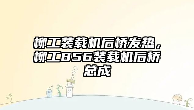 柳工裝載機后橋發熱，柳工856裝載機后橋總成