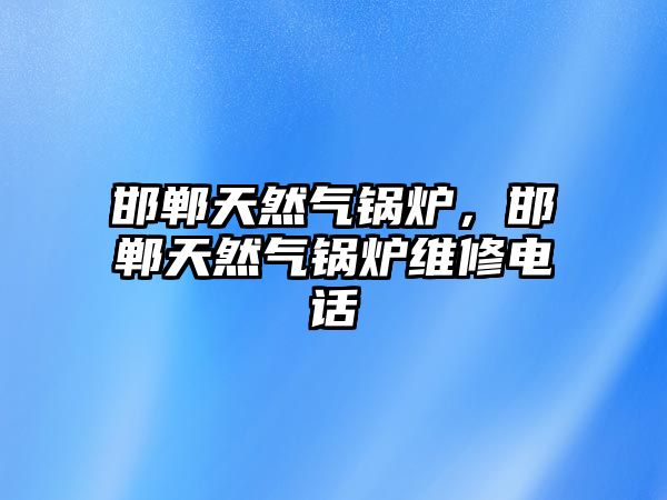 邯鄲天然氣鍋爐，邯鄲天然氣鍋爐維修電話