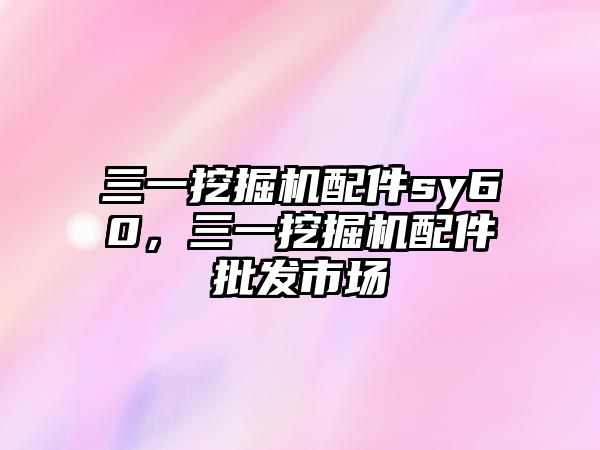 三一挖掘機(jī)配件sy60，三一挖掘機(jī)配件批發(fā)市場(chǎng)