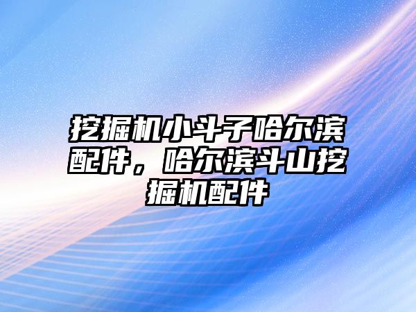 挖掘機小斗子哈爾濱配件，哈爾濱斗山挖掘機配件