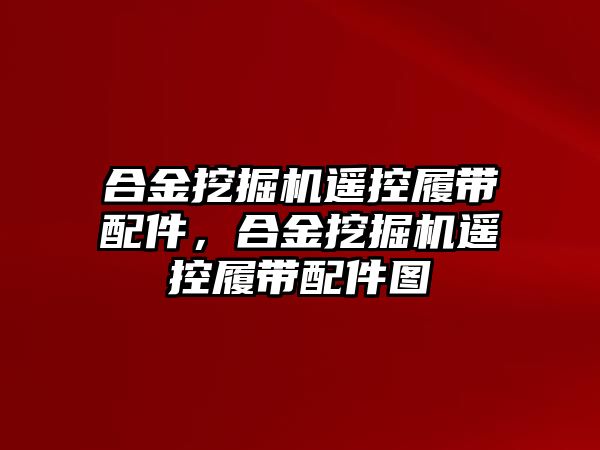 合金挖掘機遙控履帶配件，合金挖掘機遙控履帶配件圖