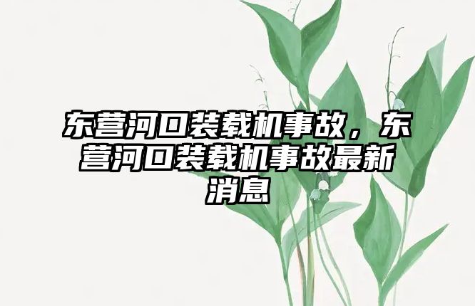 東營河口裝載機事故，東營河口裝載機事故最新消息