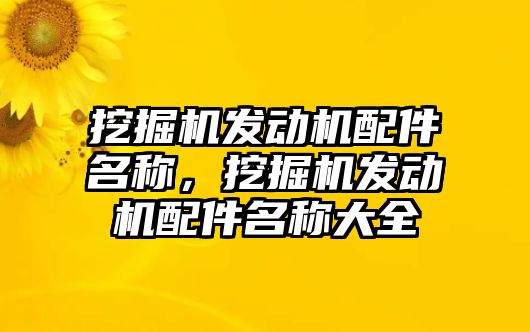 挖掘機發動機配件名稱，挖掘機發動機配件名稱大全