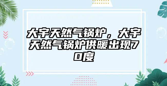 大宇天然氣鍋爐，大宇天然氣鍋爐供暖出現70度