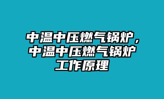 中溫中壓燃?xì)忮仩t，中溫中壓燃?xì)忮仩t工作原理