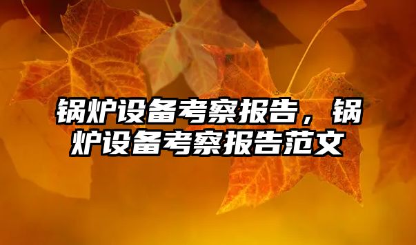 鍋爐設(shè)備考察報(bào)告，鍋爐設(shè)備考察報(bào)告范文