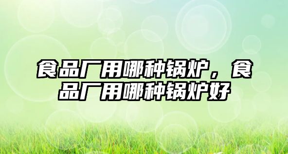 食品廠用哪種鍋爐，食品廠用哪種鍋爐好