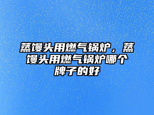 蒸饅頭用燃氣鍋爐，蒸饅頭用燃氣鍋爐哪個牌子的好