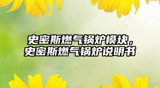 史密斯燃氣鍋爐模塊，史密斯燃氣鍋爐說明書