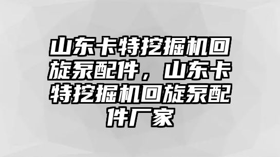 山東卡特挖掘機回旋泵配件，山東卡特挖掘機回旋泵配件廠家