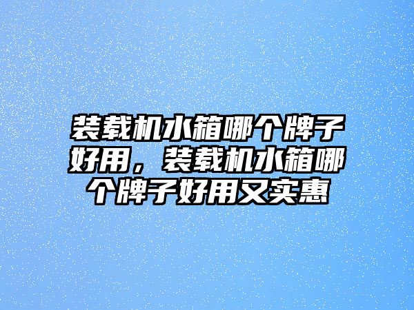 裝載機水箱哪個牌子好用，裝載機水箱哪個牌子好用又實惠