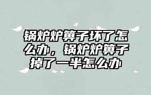 鍋爐爐箅子壞了怎么辦，鍋爐爐箅子掉了一半怎么辦